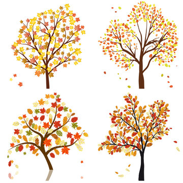 Set of four autumn tree