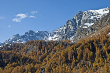 autumn colors and mountain with snow