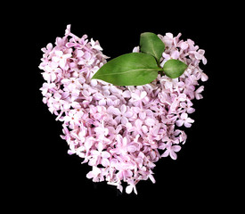 Lilac petals in heart shape isolated on black