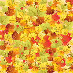 Plakat Autumn leaves background