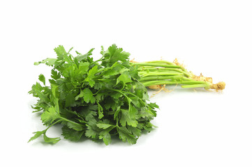 Bunch Of Parsley