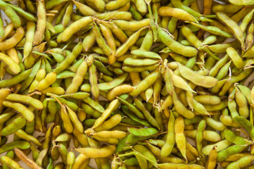 Fresh Soy Beans