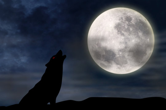 Wolf howling at full moon
