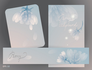 Flower vector backgrounds / Set of peony cards