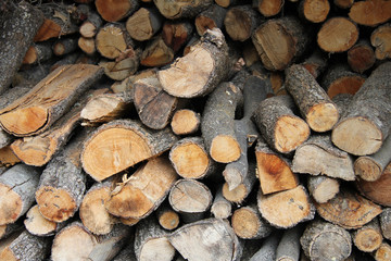 Stacked firewood