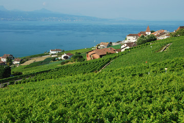 Lavaux, Suisse