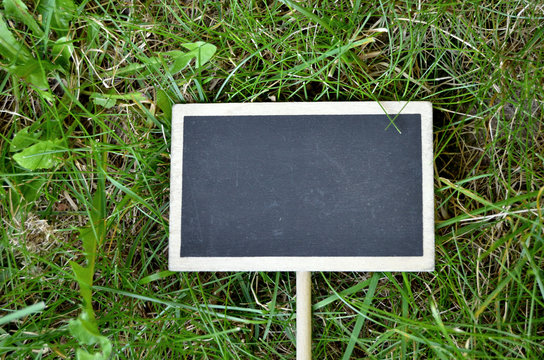 Schild