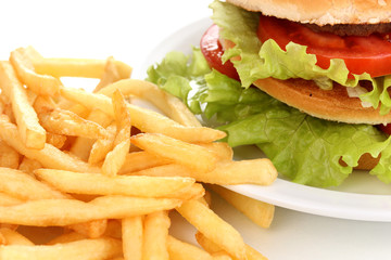 Big and tasty hamburger