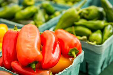 Red peppers on display in boxes