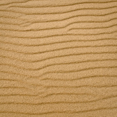 Sand Texture