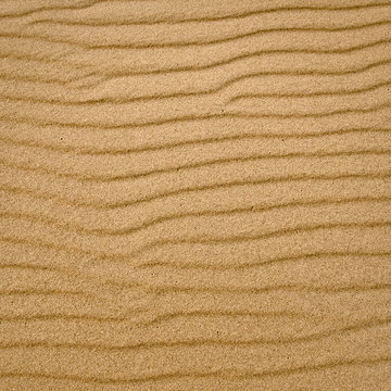 Sand Texture