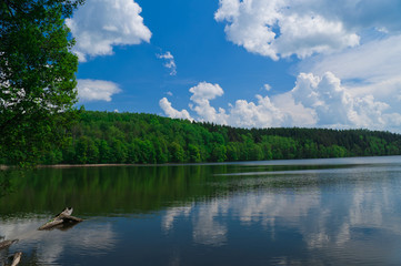 Obraz premium Lake and forest