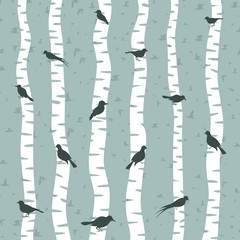 Bird on a birch