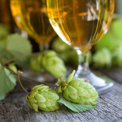 Frischer Hopfen