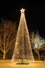 Christmas tree at night, in plaza - 45017030