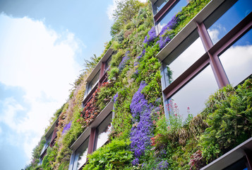 Ecological buildings facade