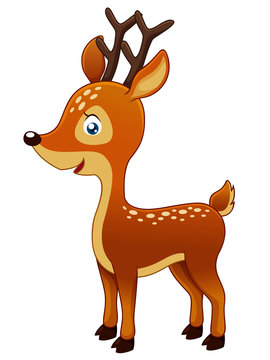 Cute Deer vector