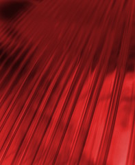 Fototapeta premium muster