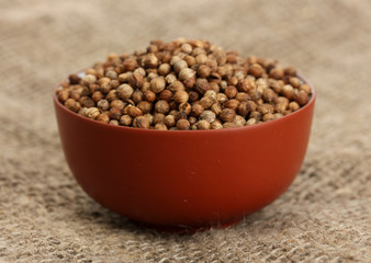 Heap coriander seeds in bowl on canvas background close-up