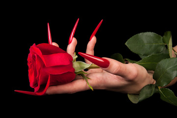 Human fingers with long fingernail and beautiful manicure