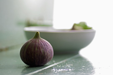 Feigen Stillleben Ficus carica