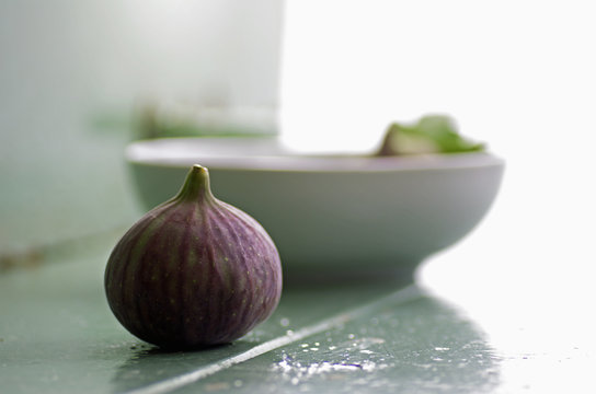 Feigen Stillleben Ficus carica