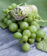 grappe de raisins blanc bouchon de bouteille d vin