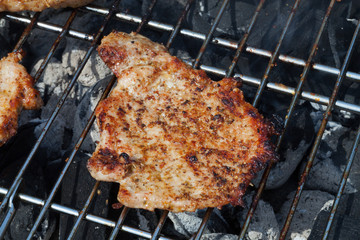 barbecue with delicious grilled meat on grill