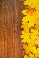 Autumn leaves on wooden background