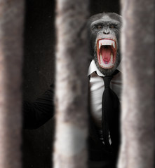 Annoyed Monkey Behind Bars