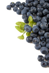 Blueberries with leaves on white  isolated background.