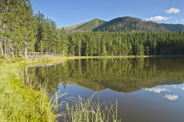Smreczyński staw © Grzegorz Giemza