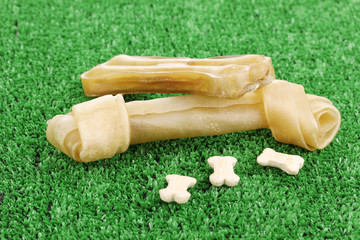 Dog bones on green grass