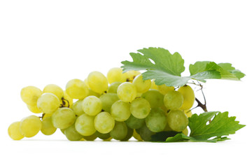 Grapes branch with leaves isolated on white background