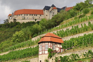 Burgblick