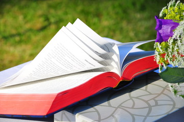 freie Trauung im Freien