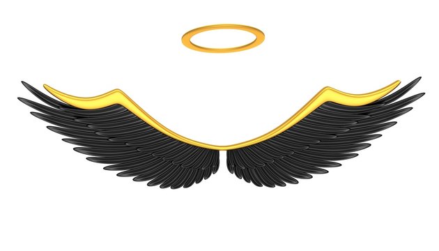 Black angel wings isolated on a white background.
