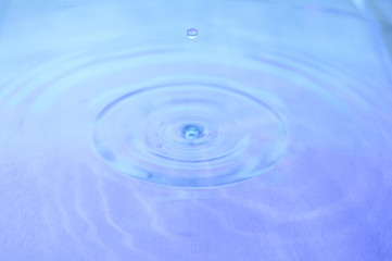 Gota