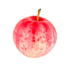 fresh apple