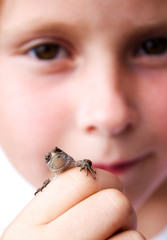 Child holds a lizard in his hand.