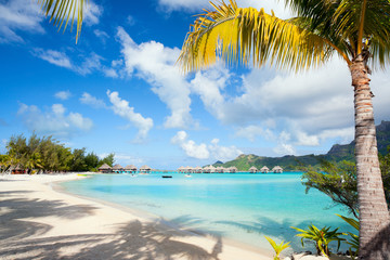 Perfect beach on Bora Bora - obrazy, fototapety, plakaty