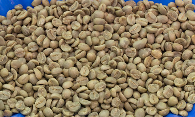 Зелёные зёрна кофе
