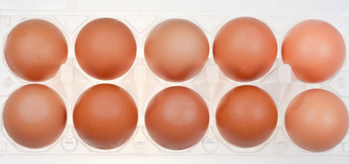 hen's eggs in holder