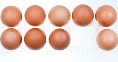 eleven brown chicken eggs