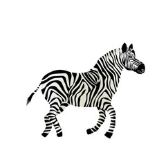 Fototapeta na wymiar Bieganie zebra