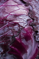 Obraz premium Red cabbage close up