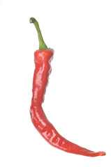 Isolated Cayenne Pepper
