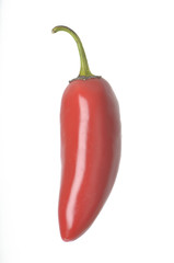 Isolated Pepper