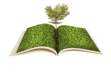 Book with Tree growing on white background