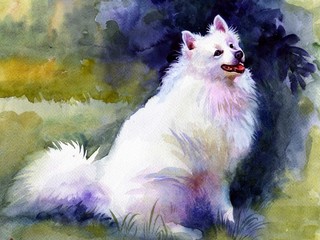 Watercolor Animal Collection: Dog - 45045629